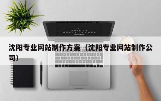 冠县沈阳专业网站制作方案（沈阳专业网站制作公司）